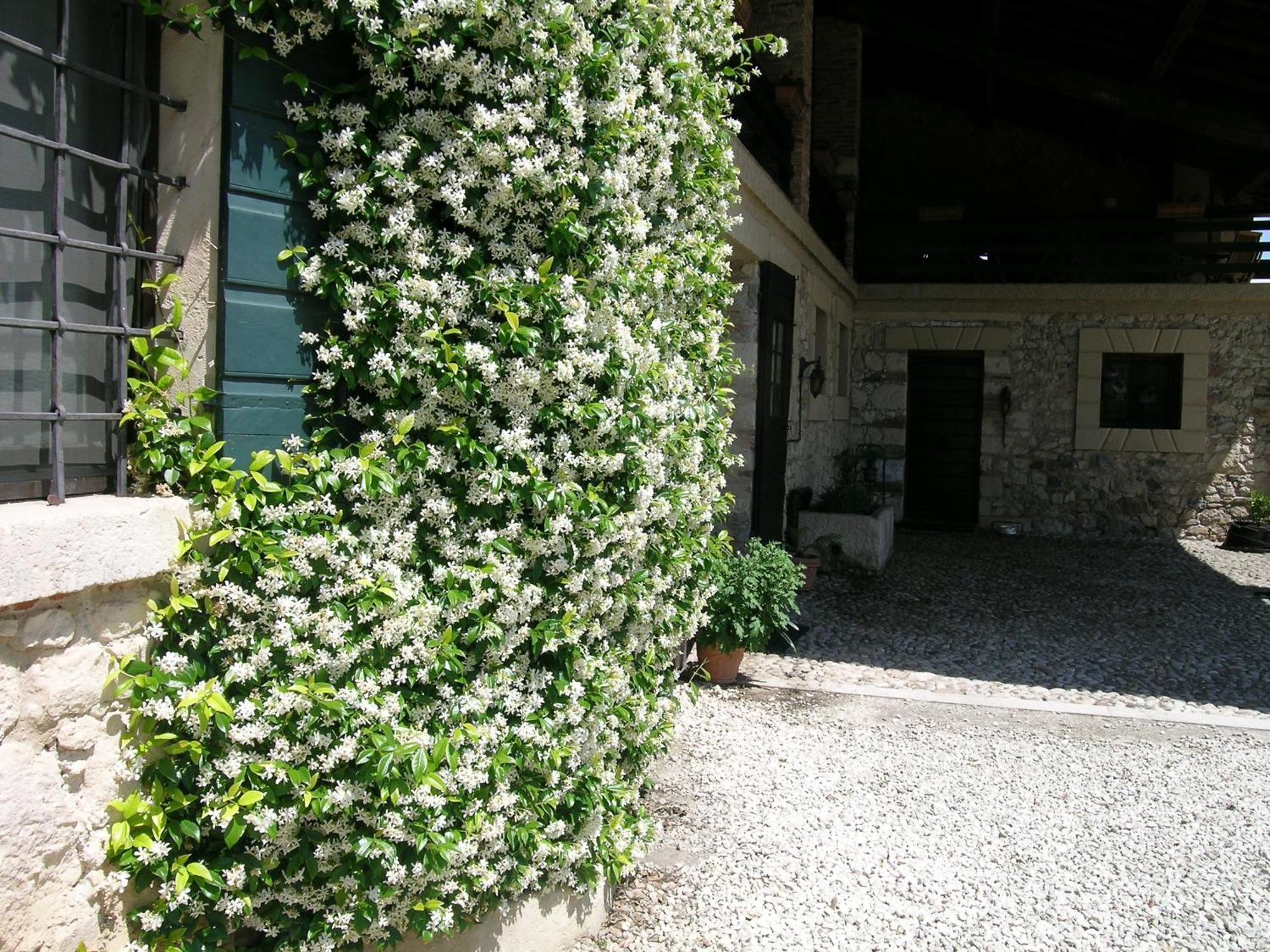 I Costanti Villa Caldiero Luaran gambar